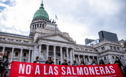 Alertan sobre un posible desastre ambiental si se deroga la ley anti&nbsp;salmoneras