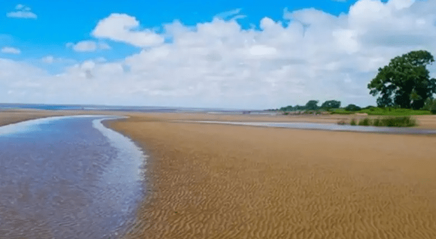 Punta Indio: la playa cerca de CABA que pocos&nbsp;conocen