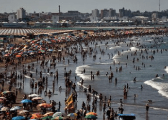 Mar del Plata estrena la muestra “Vidas Submarinas” sobre ciencia y&nbsp;arte
